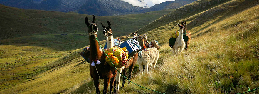 Cusco Machupicchu trek