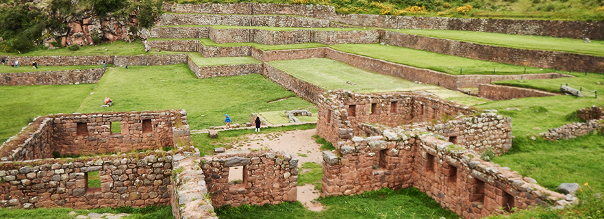 Cusco tipon