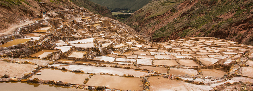 Cusco maras