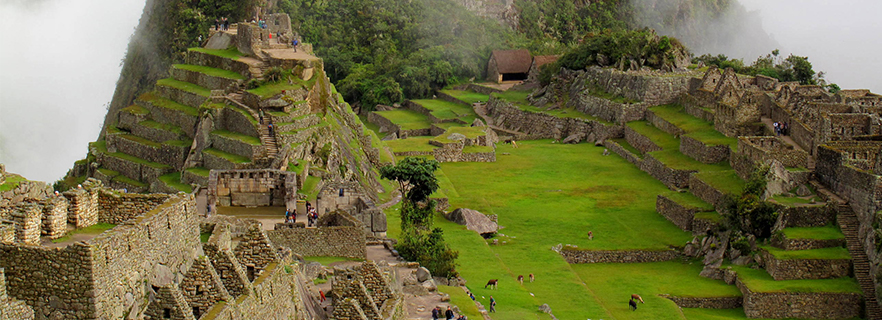 Cusco Inka jungle